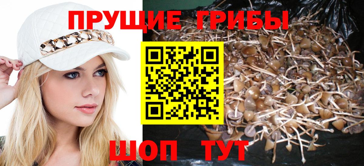 Апатиты  Галлюциногенные грибы ЛСД  Вход с VPN 