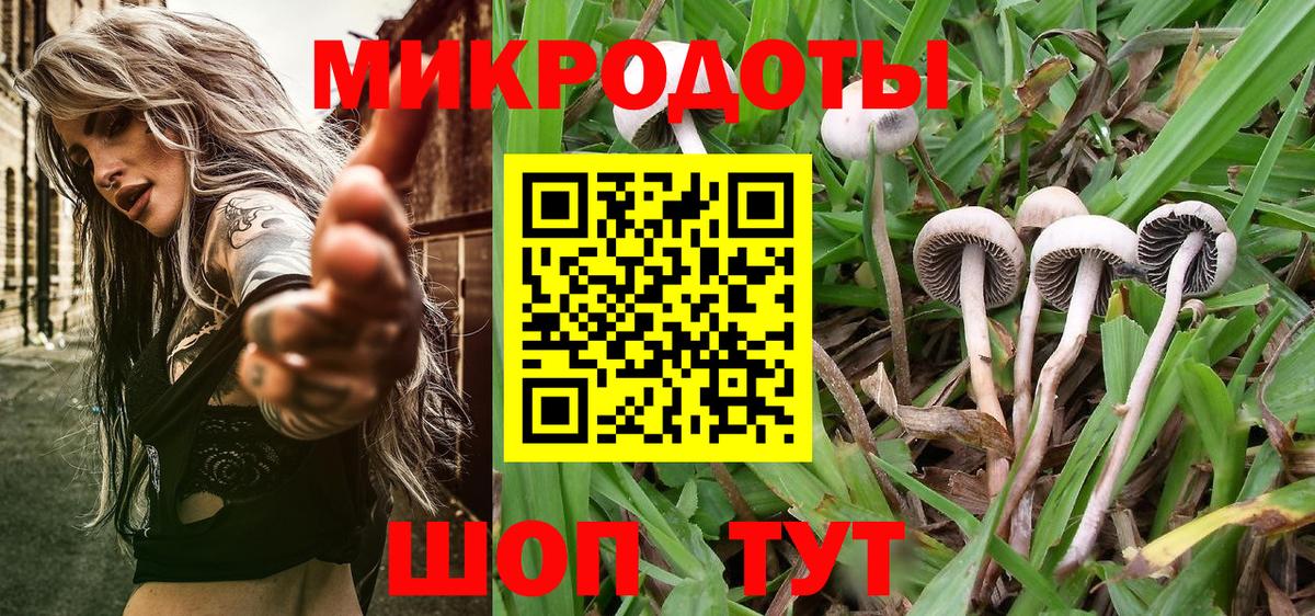 Псилоцибиновые грибы прущие грибы Апатиты